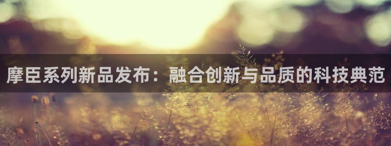 东莞市mg不朽情缘电子科技有限公司