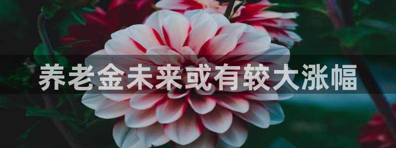 mg不朽情缘体育网页版入口