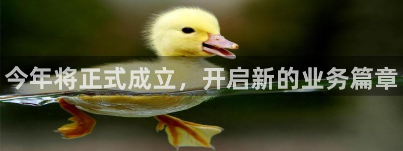 mg不朽情缘平台：今年将正式成立，开启新的业务篇章