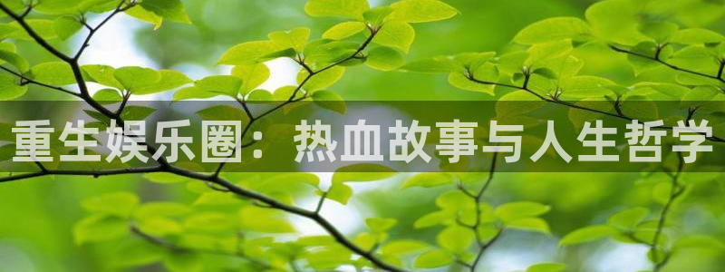 佛山市南海mg不朽情缘机电仪器有限公司：重生娱乐圈：热血故事与人生哲学