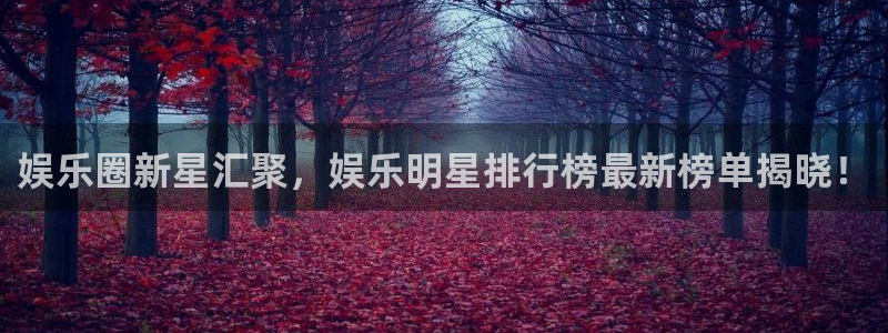 mg不朽情缘3注册：娱乐圈新星汇聚，娱乐明星排行榜最新榜单揭晓！