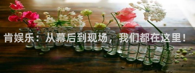 上海mg不朽情缘汽车电子有限公司：肯娱乐：从幕后到现场，我们都在这里！