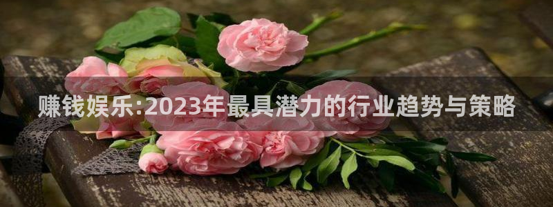 mg不朽情缘平台总代理：赚钱娱乐:2023年最具潜力的行业趋势与策略