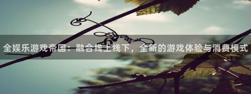 mg不朽情缘3平台注册：全娱乐游戏帝国：融合线上线下，全新的游戏体验与消费模式