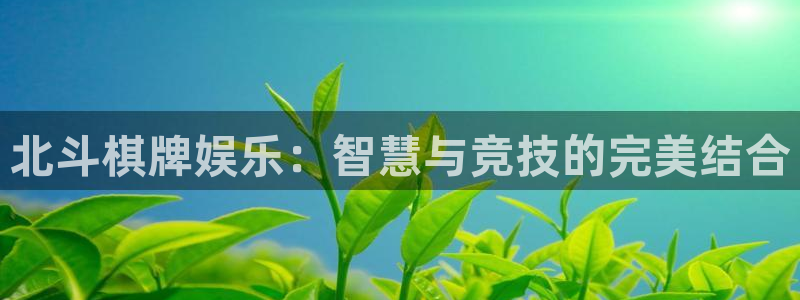 mg不朽情缘5：北斗棋牌娱乐：智慧与竞技的完美结合