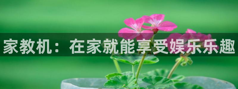 mg不朽情缘3平台登录注册：家教机：在家就能享受娱乐乐趣