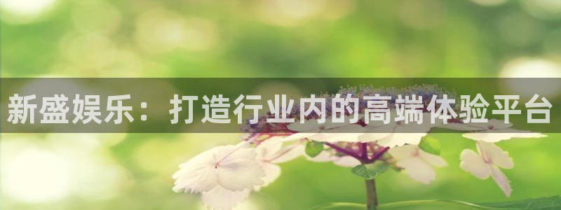 mg不朽情缘平台主管：新盛娱乐：打造行业内的高端体验平台