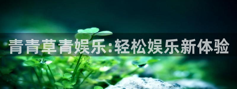 mg不朽情缘4官网：青青草青娱乐:轻松娱乐新体验