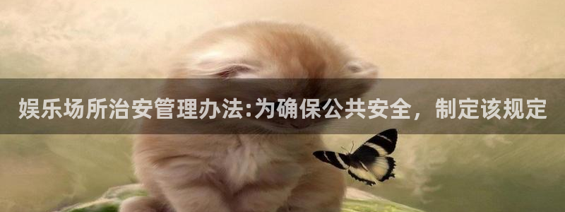 mg不朽情缘体育论坛：娱乐场所治安管理办法:为确保公共安全，制定该规定