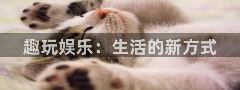 mg不朽情缘vk：趣玩娱乐：生活的新方式