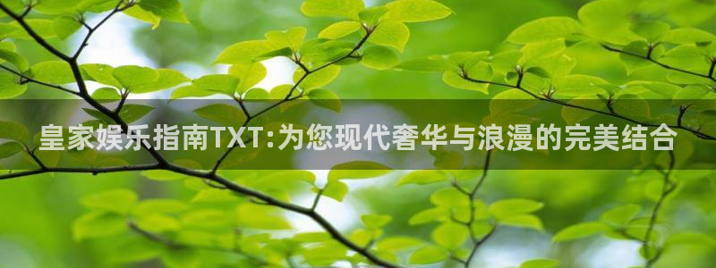 mg不朽情缘主管：皇家娱乐指南TXT:为您现代奢华与浪漫的完美结合