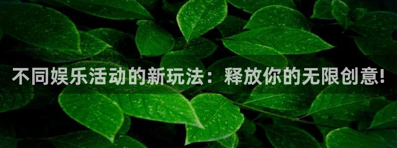 mg不朽情缘体育凯捷平台注册：不同娱乐活动的新玩法：释放你的无限创意!