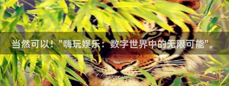 东莞市mg不朽情缘电子科技有限公司：当然可以！\
