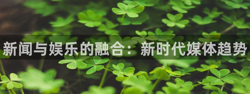 mg不朽情缘体育平台注册：新闻与娱乐的融合：新时代媒体趋势