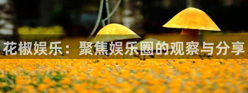 mg不朽情缘体育平台登录入口：花椒娱乐：聚焦娱乐圈的观察与分享
